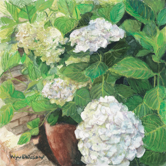 White Hydrangeas Watercolor Print