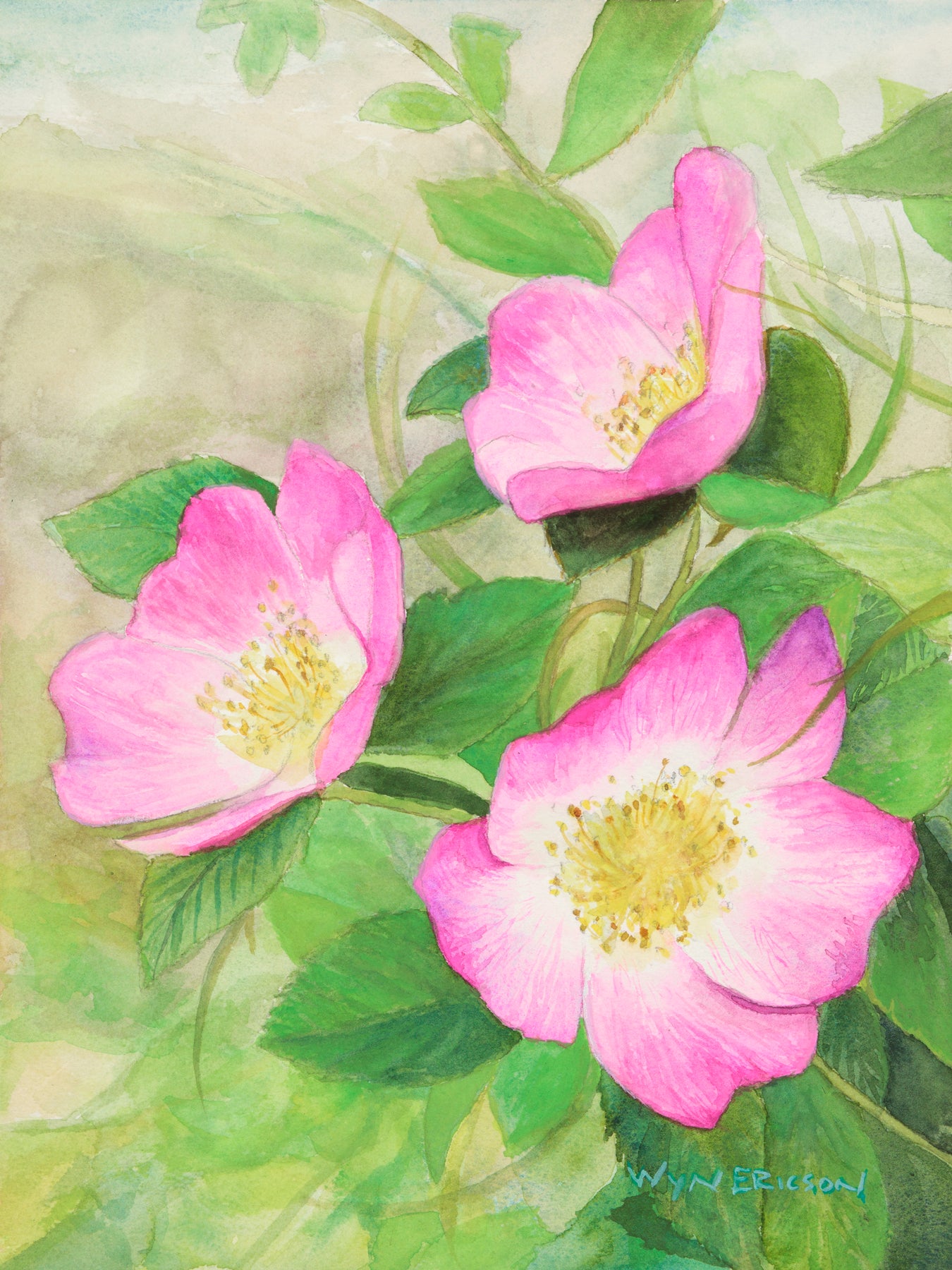 Pink 2024 Roses, 9 x 12, Original Watercolor